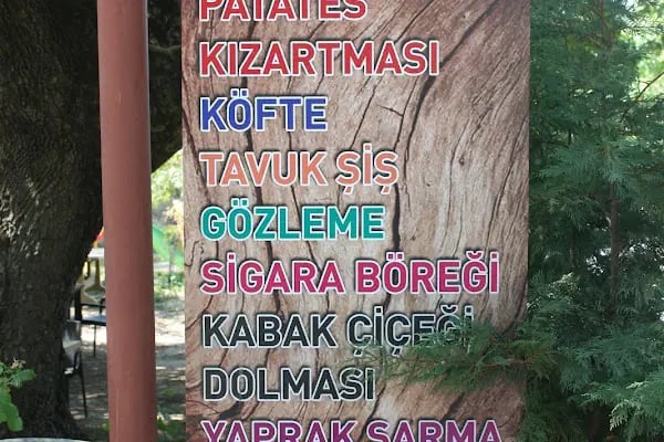 Birgi Çınaraltı Pansiyon - Resim 9