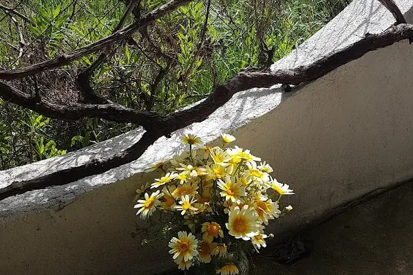 Limon Pansiyon - Resim 19