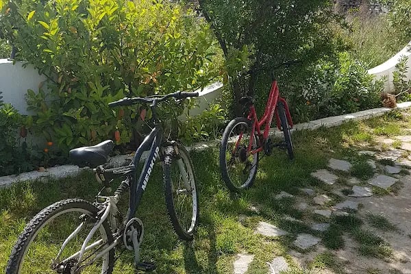 Limon Pansiyon - Resim 16