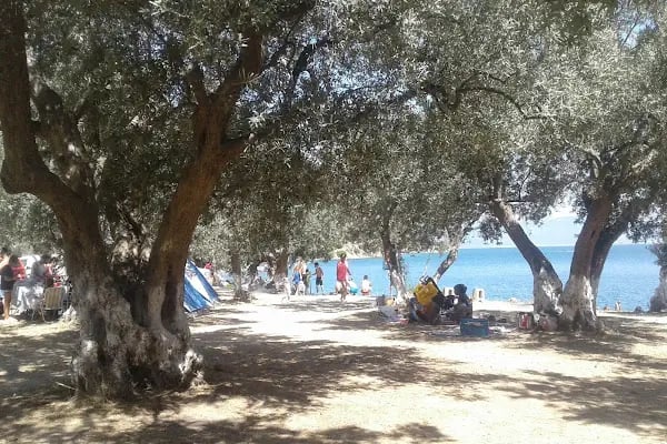 Gizli Bahçe kamping - Resim 8