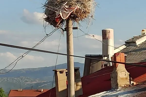Yalıhüyük Belediyesi - Resim 5