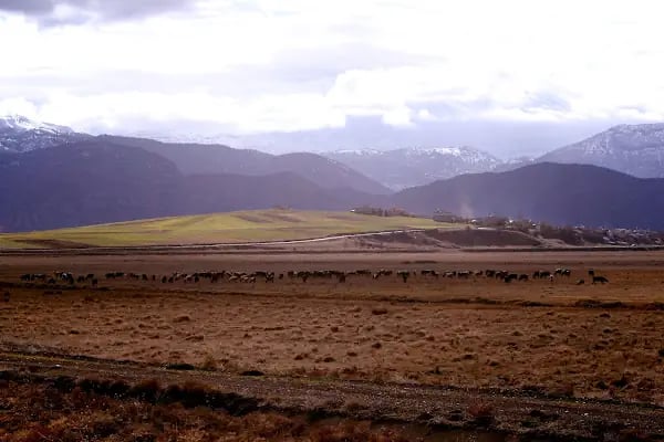 Yalıhüyük Belediyesi - Resim 14