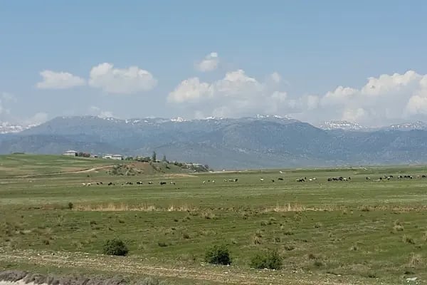 Yalıhüyük Belediyesi - Resim 16