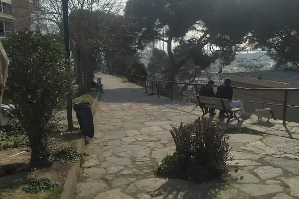 Karlık Teras - Resim 2