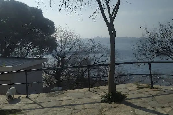 Karlık Teras - Resim 4
