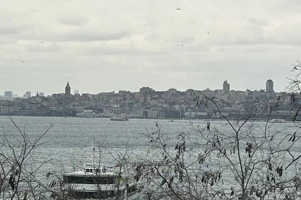 Karlık Teras - Resim 17