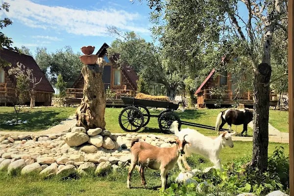 Kazdağları Bungalov Otel İda Natura Life Style - Resim 6