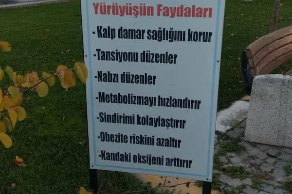 Alparslan Türkeş Spor Kompleksi - Resim 14