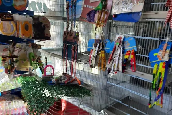 Aydın petshop - Resim 11