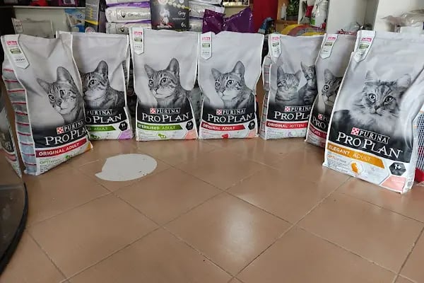 Aydın petshop - Resim 6
