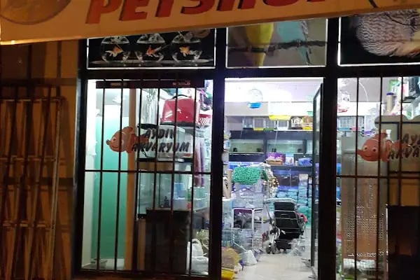 Aydın petshop - Resim 19