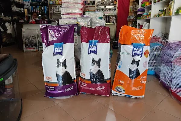 Aydın petshop - Resim 18