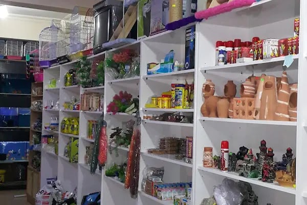 Aydın petshop - Resim 17