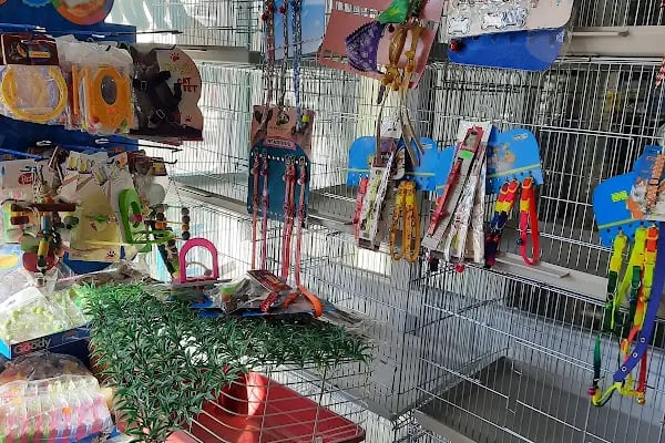 Aydın petshop - Resim 2