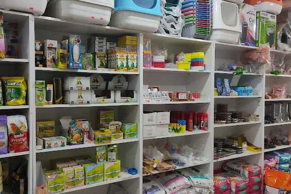 Aydın petshop - Resim 5