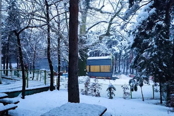 ÇINAR PARK DAVET DÜĞÜN SALONU - Resim 4
