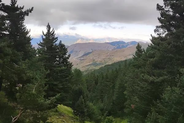 Altınpınar Limni Gölü - Resim 18