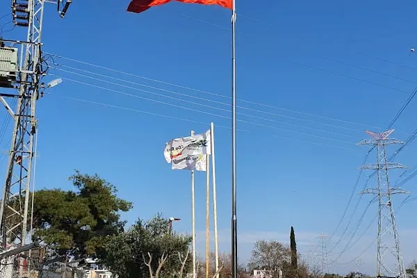 ADA TARIM LTD ŞTİ - Resim 6