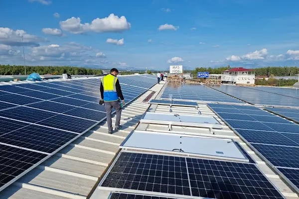 ADA TARIM LTD ŞTİ - Resim 4