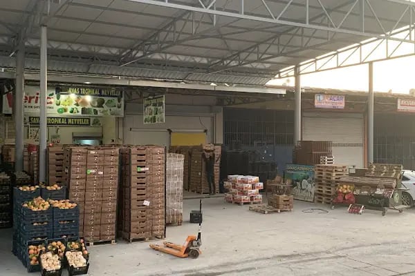 Türkiye İş Bankası Yenihal/Mersin Şubesi - Resim 11