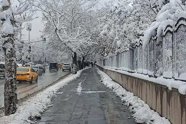 Ankara Üniversitesi Veteriner Fakültesi Hayvan Hastanesi - Resim 12