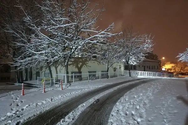 Ankara Üniversitesi Veteriner Fakültesi Hayvan Hastanesi - Resim 11