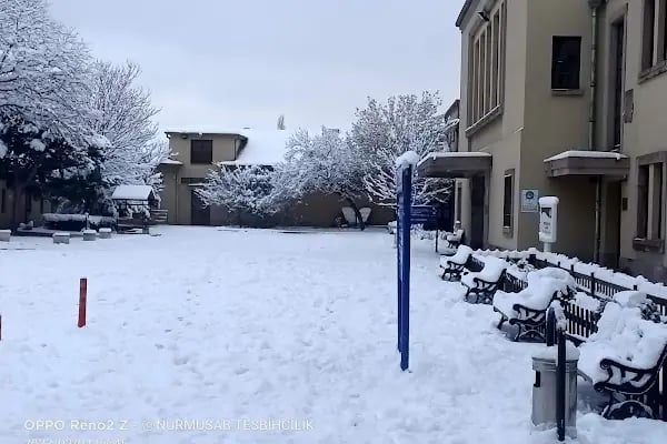Ankara Üniversitesi Veteriner Fakültesi Hayvan Hastanesi - Resim 10
