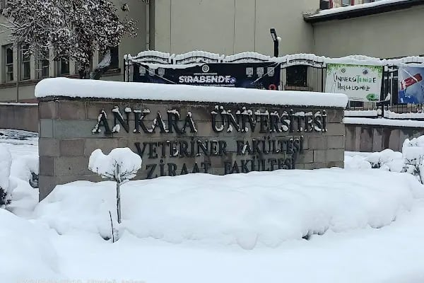 Ankara Üniversitesi Veteriner Fakültesi Hayvan Hastanesi - Resim 20