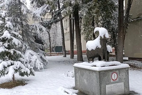 Ankara Üniversitesi Veteriner Fakültesi Hayvan Hastanesi - Resim 7
