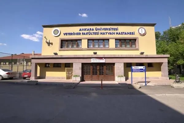 Ankara Üniversitesi Veteriner Fakültesi Hayvan Hastanesi - Resim 3