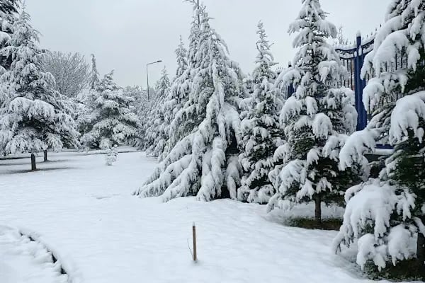 Ankara Üniversitesi Veteriner Fakültesi Hayvan Hastanesi - Resim 17