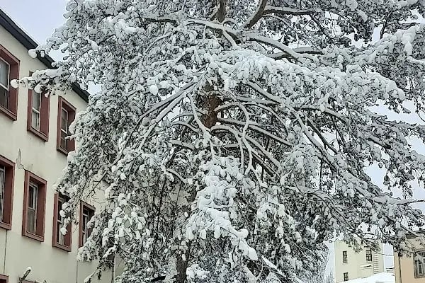 Ankara Üniversitesi Veteriner Fakültesi Hayvan Hastanesi - Resim 14