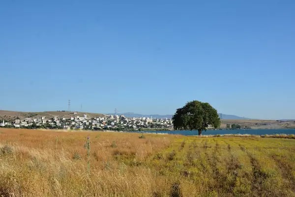 Gryneion Antik Kenti - Resim 1
