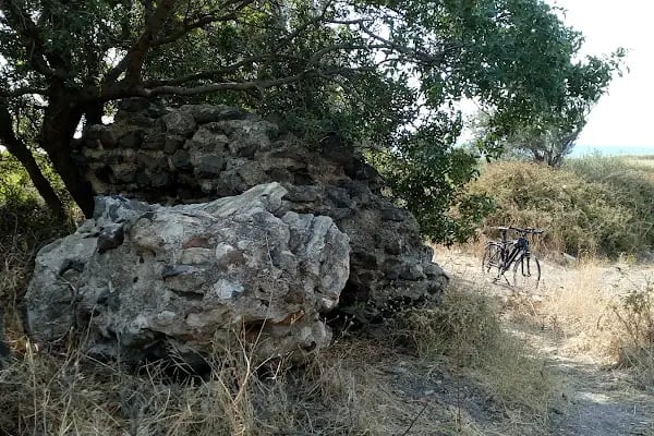 Gryneion Antik Kenti - Resim 14