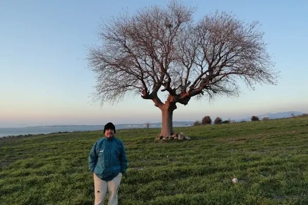 Gryneion Antik Kenti - Resim 3