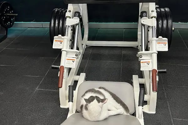 Fit Point Sport Center - Resim 11