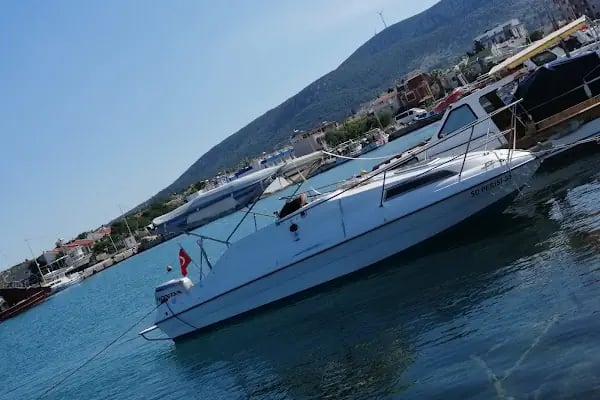Poyraz Rent A Car - Resim 8