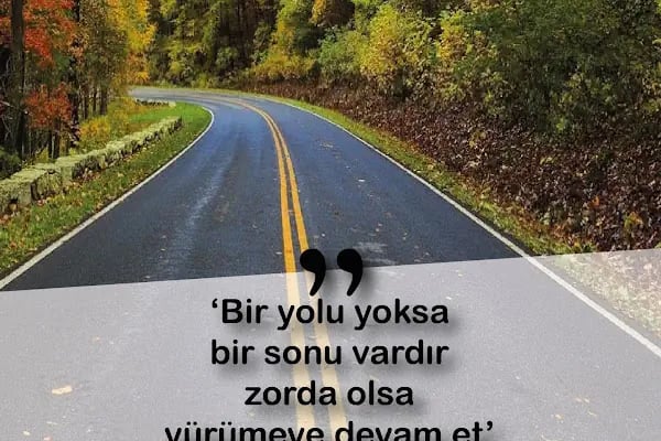 Anefe Hizmet - Apartman Yönetimi &amp; Peyzaj ve Temizlik - Resim 18