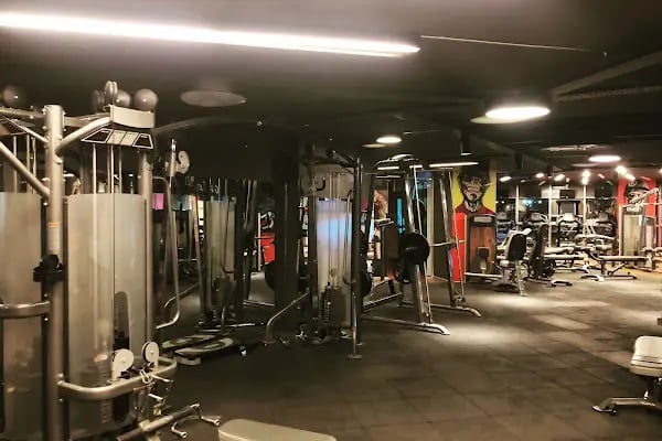 Bursa Nilüfer Spor Salonları-The Fit Club - Resim 2
