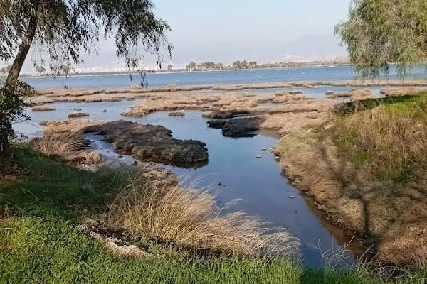 İNCİRALTI REKREASYON ALANI - Resim 16