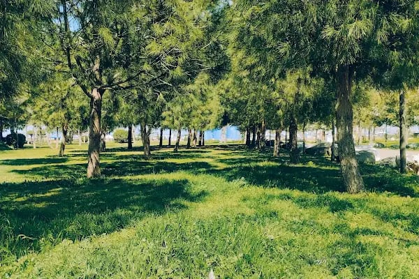 İNCİRALTI REKREASYON ALANI - Resim 4