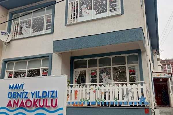 MAVİ DENİZ YILDIZI ANAOKULU - Resim 2