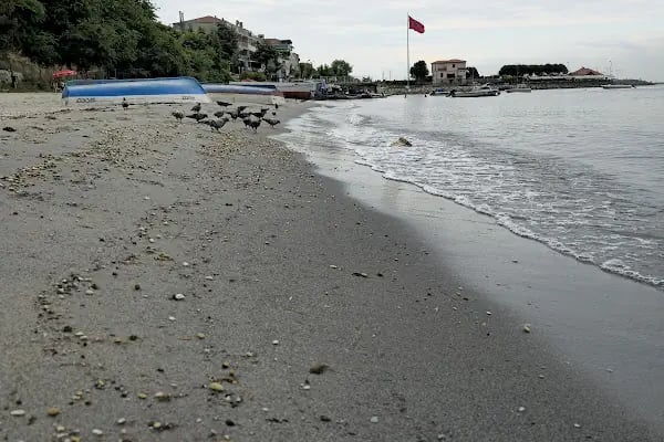 Çam Park Piknik Alanı - Resim 5