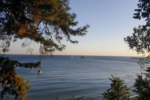 Çam Park Piknik Alanı - Resim 2