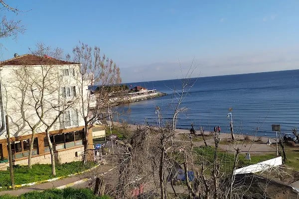 Çam Park Piknik Alanı - Resim 4