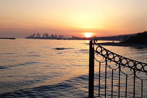 Çam Park Piknik Alanı - Resim 11