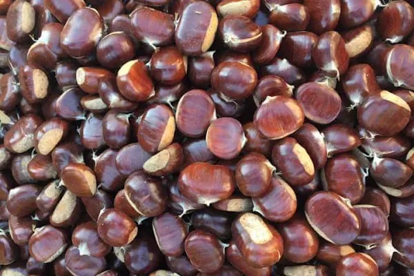 GÖNÜL SOĞUK HAVA TESİSİ - Resim 1