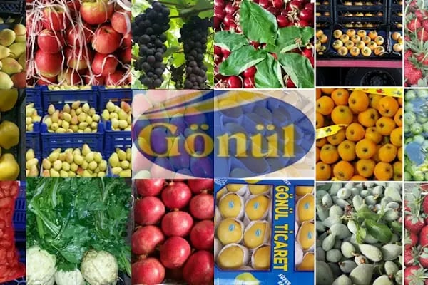 GÖNÜL SOĞUK HAVA TESİSİ - Resim 4