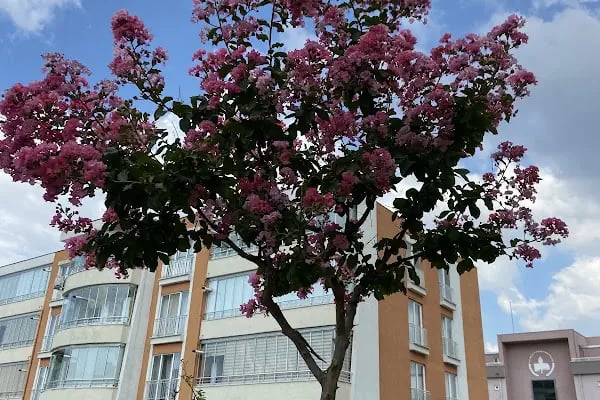 İnpark Seyirtepe Evleri - Resim 8