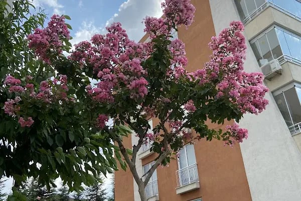 İnpark Seyirtepe Evleri - Resim 2